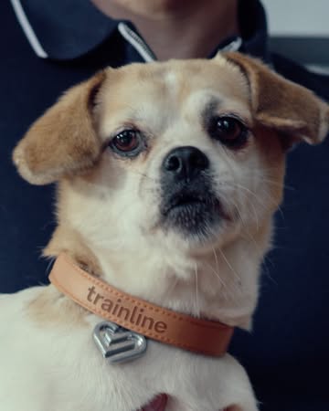 Trainline |  Dec. 25