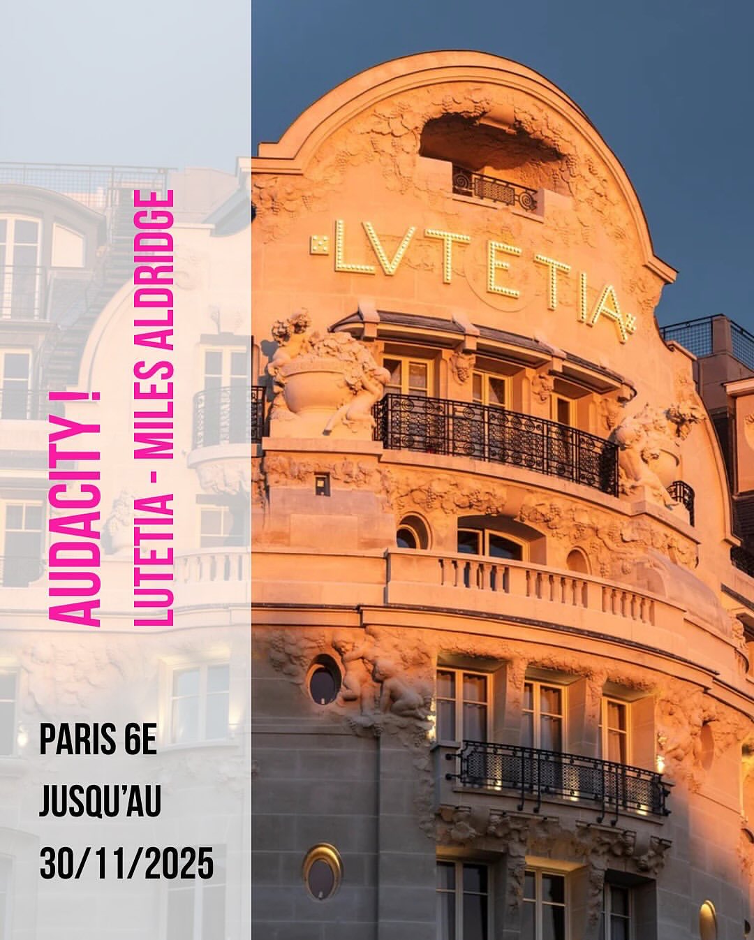 Camilla Grimaldi Gallery |  Nov. 25