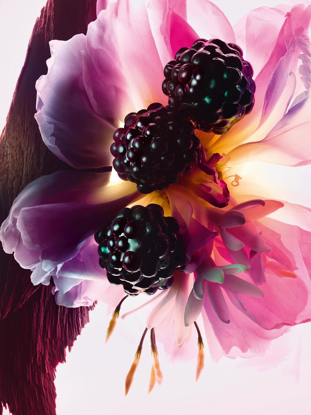 Ines Dieleman X Dior Beauty