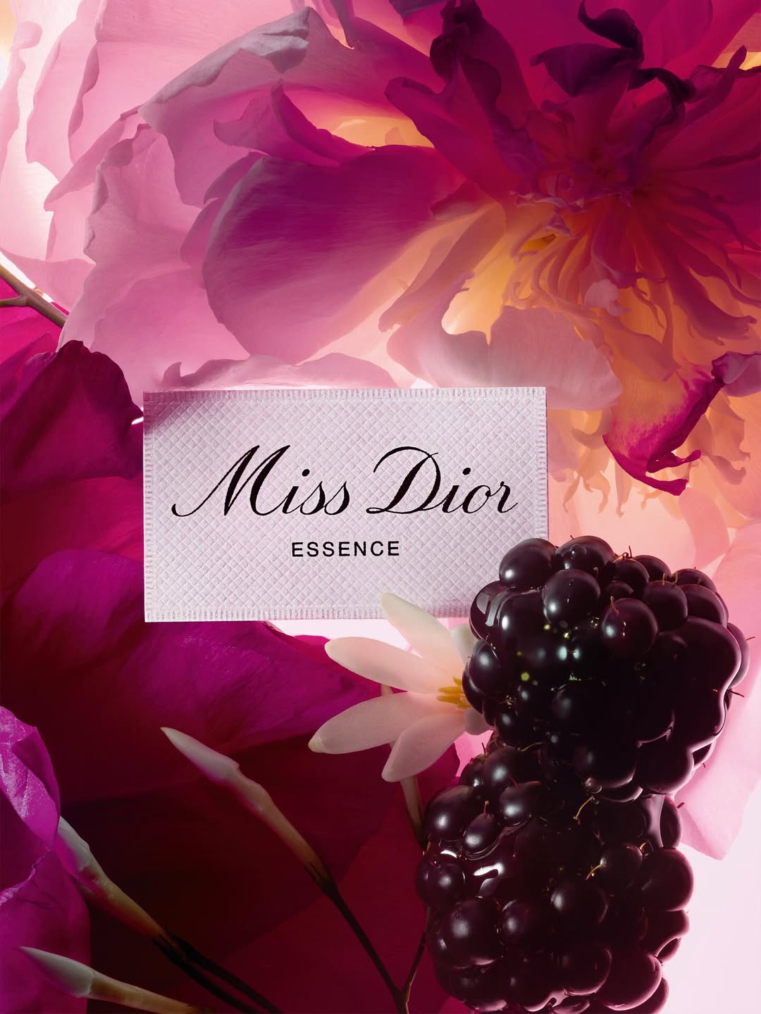 Dior Beauty |  Sep. 25