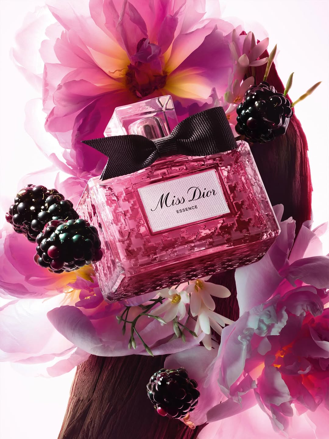 Ines Dieleman X Dior Beauty