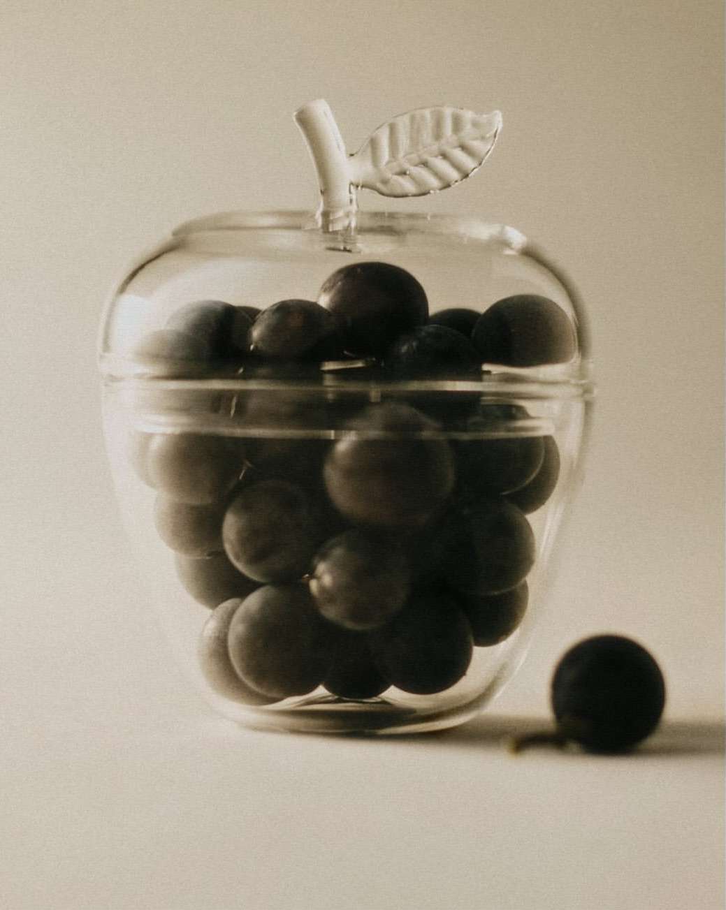 Sophie Lou Jacobsen |  Dec. 25