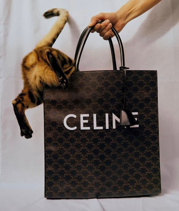 Celine |  Aug. 25