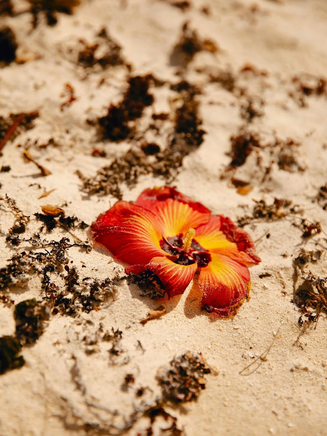 Travel + Leisure |  Nov. 25