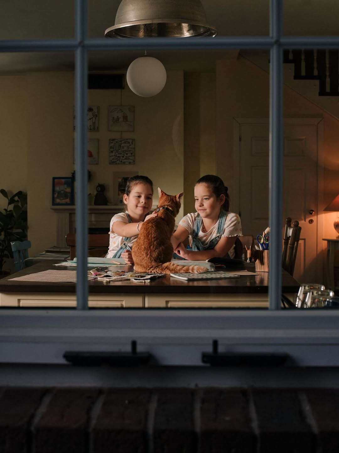 Hill's Pet Nutrition |  Dec. 25