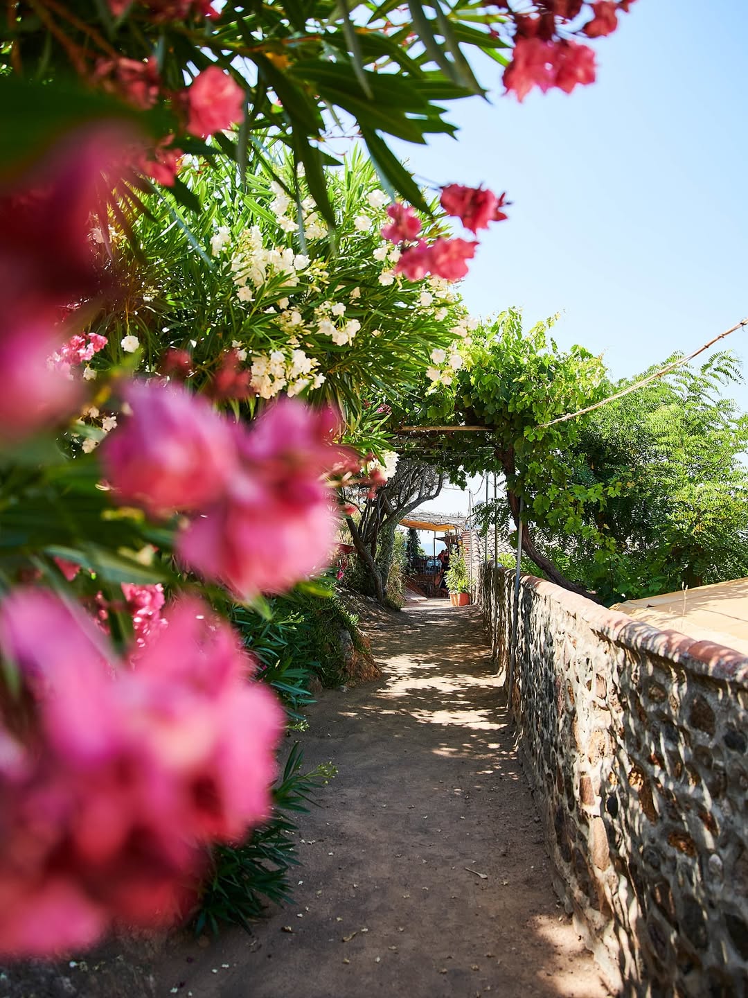 Conde Nast Traveller |  Aug. 25