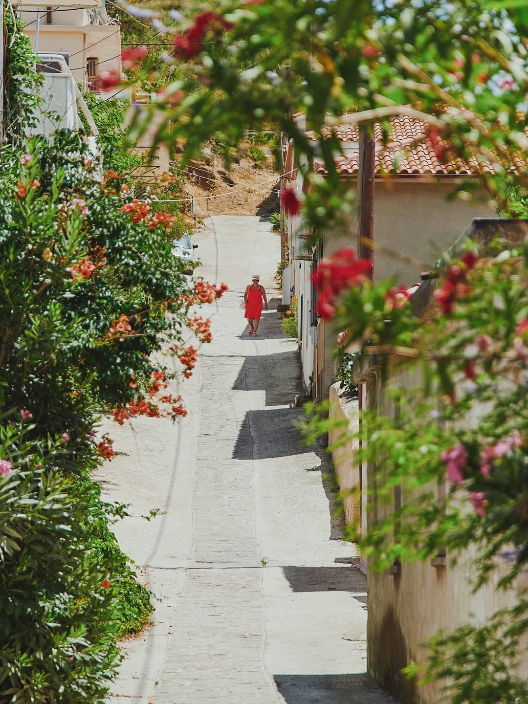 Conde Nast Traveller |  Aug. 25