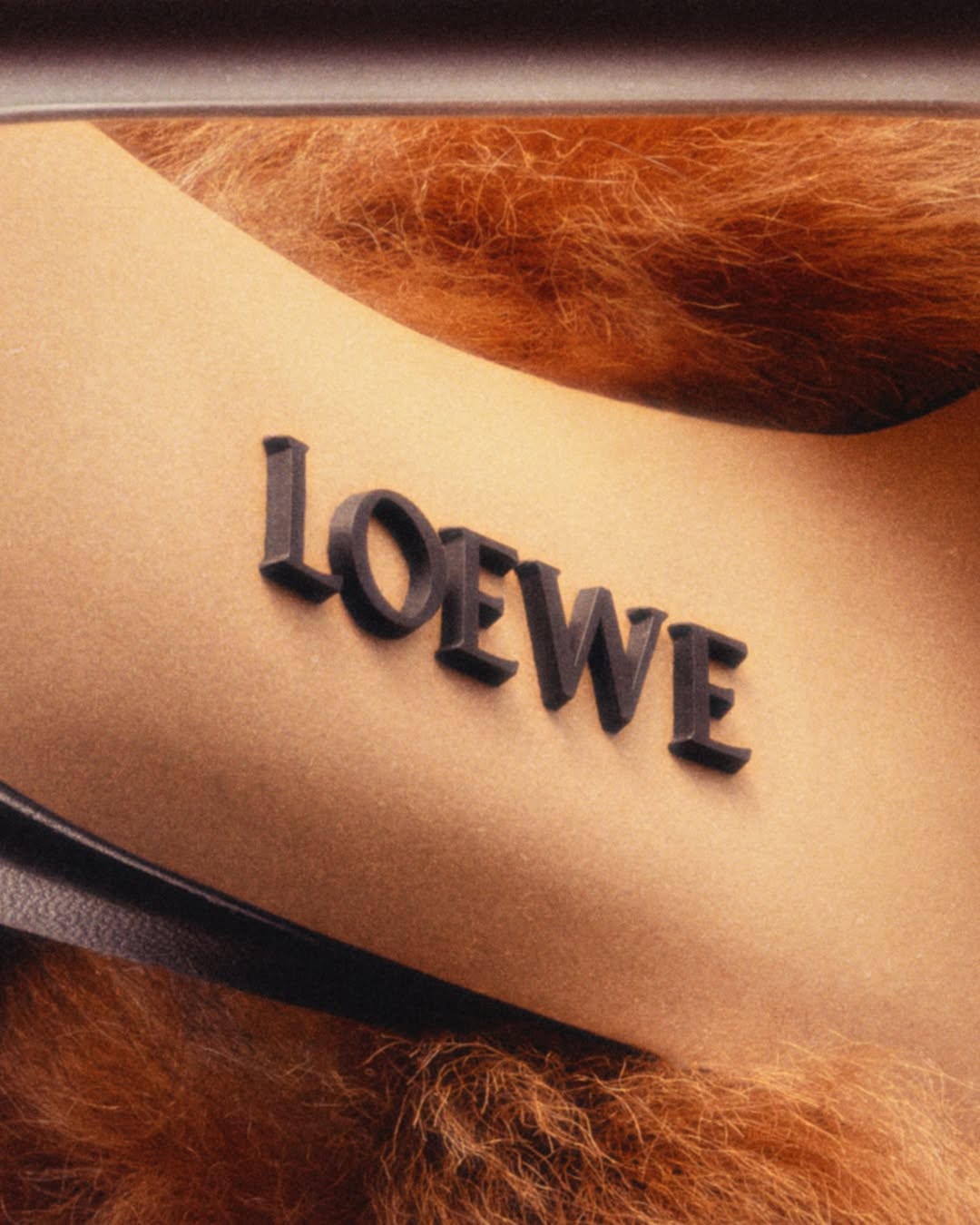 Twin Magazine |  Dec. 25