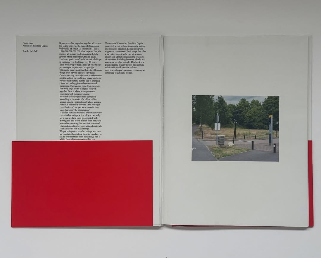 Alessandro Furchino Capria