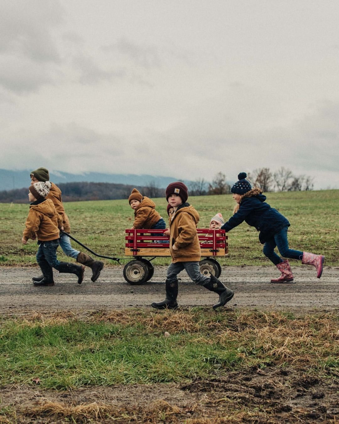 Nils Ericson X Land O'Lakes