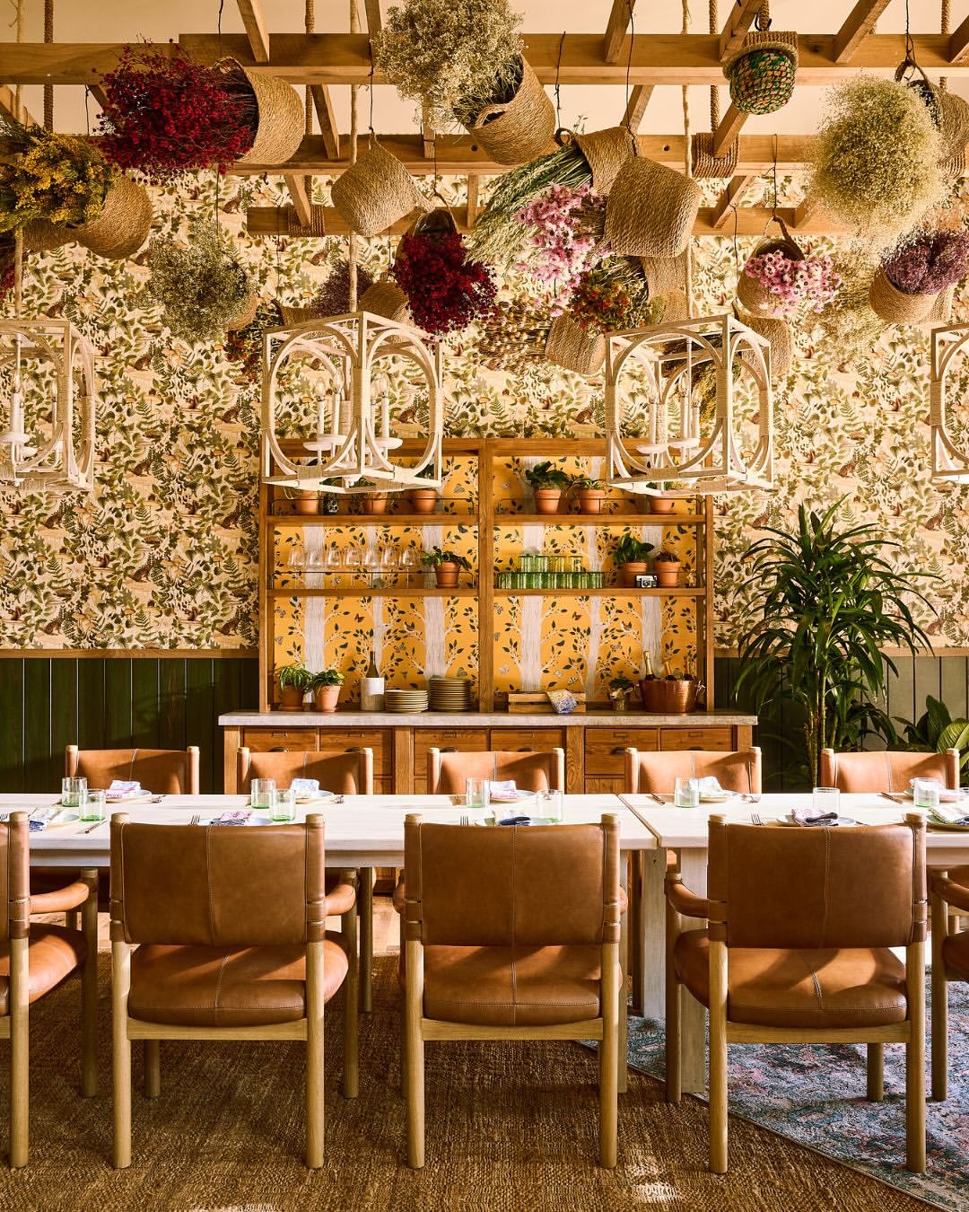 Treehouse Hotels |  Nov. 25