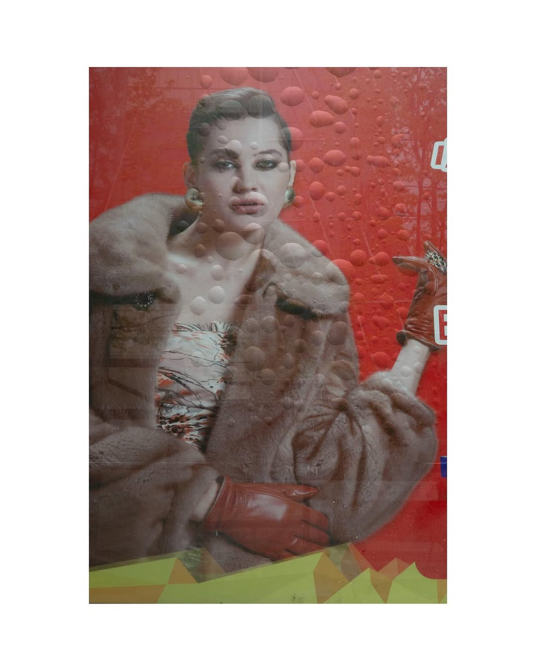 Annabel Elston