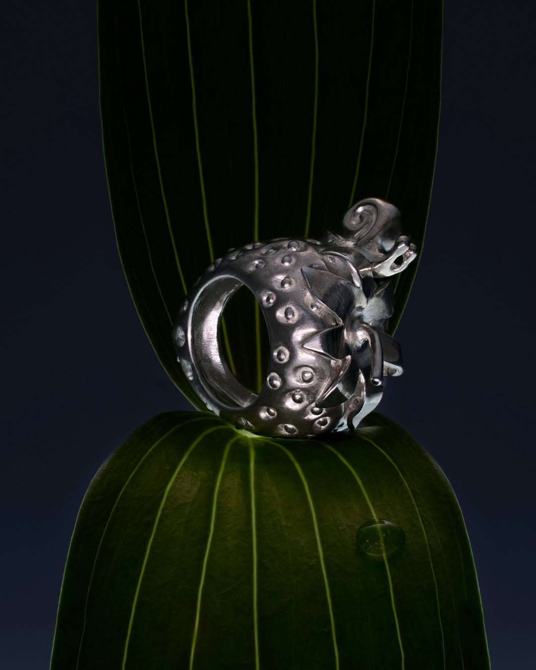 Léonard Oliviero X Bisous Bijoux