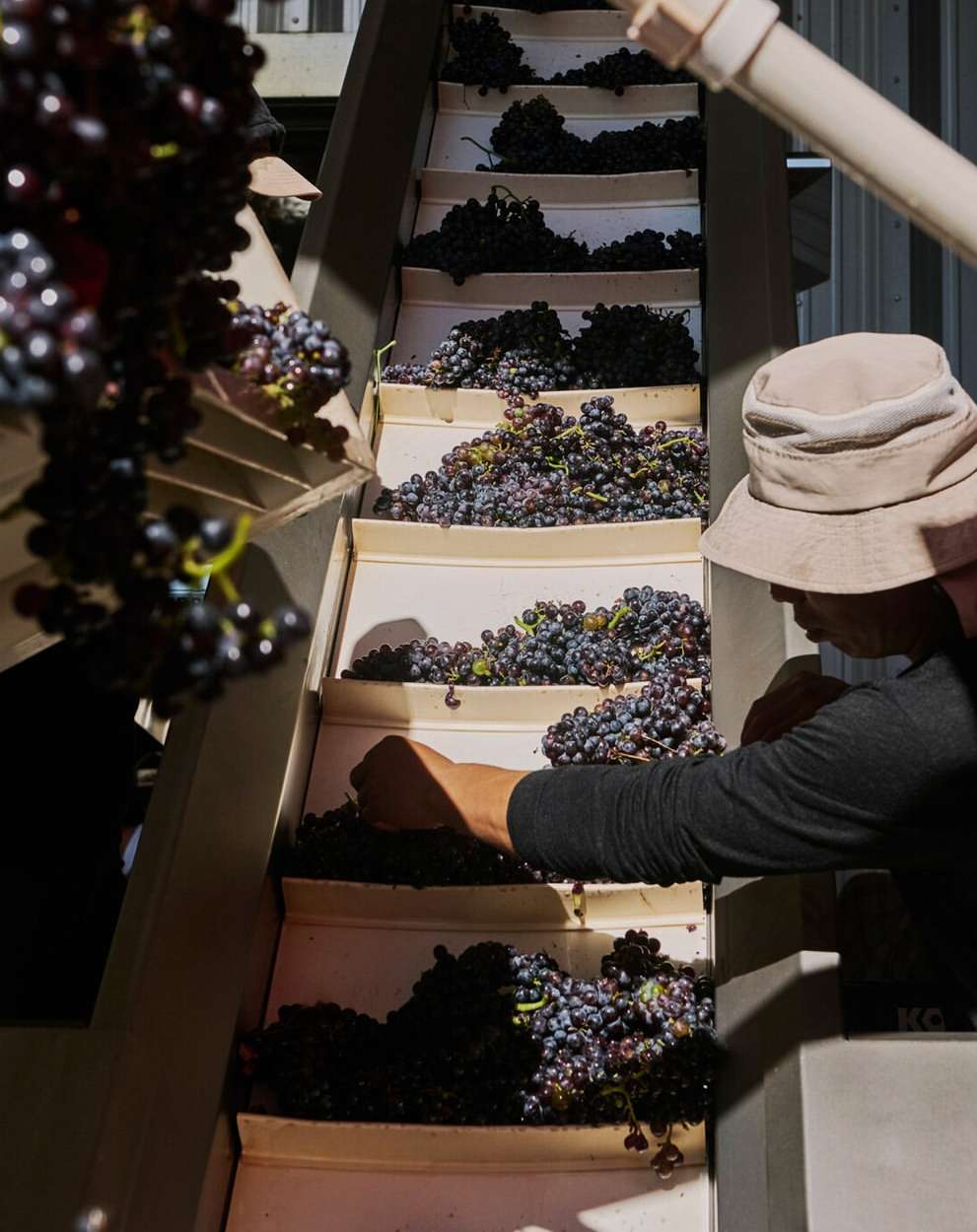 Food & Wine |  Oct. 25