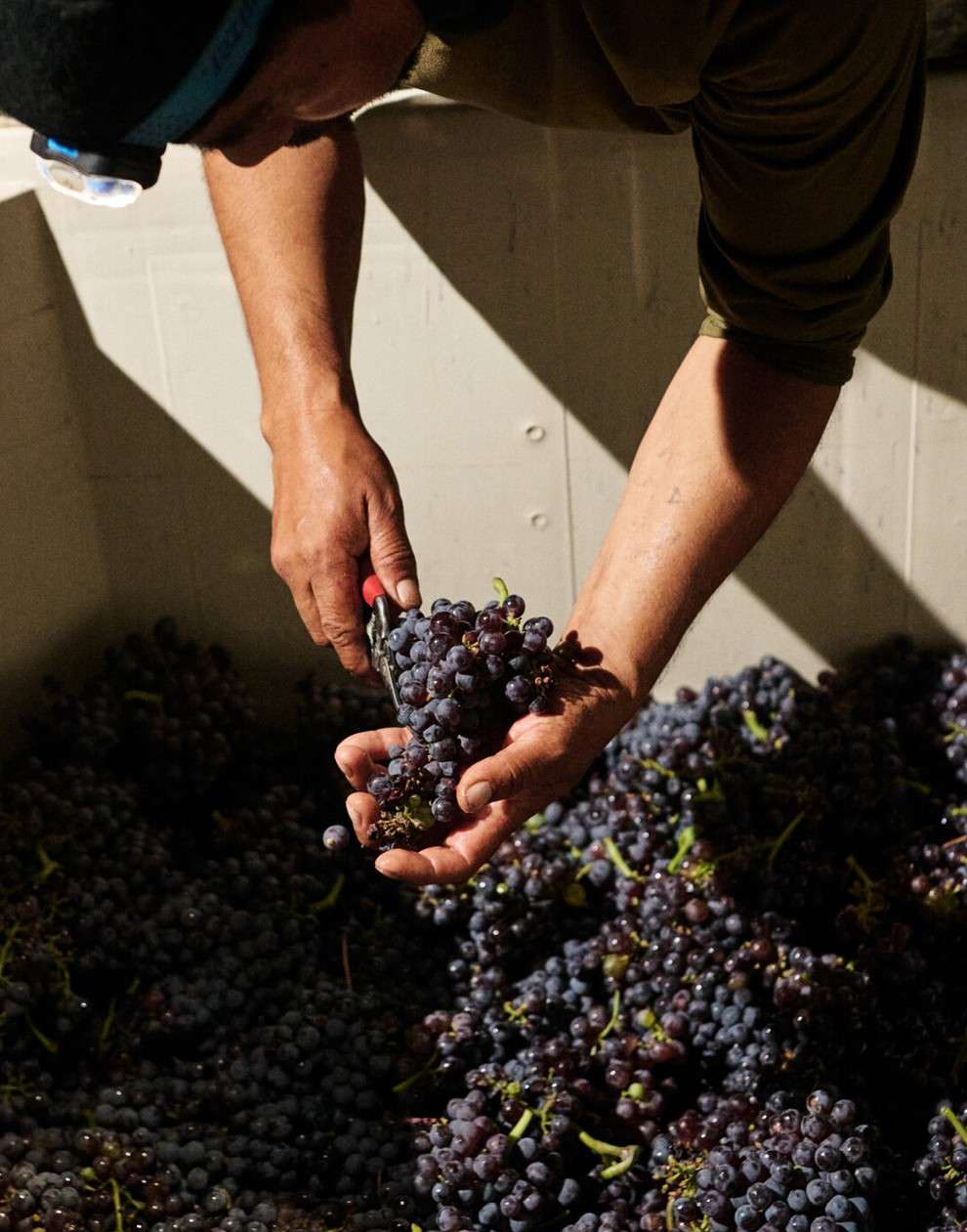 Food & Wine |  Oct. 25