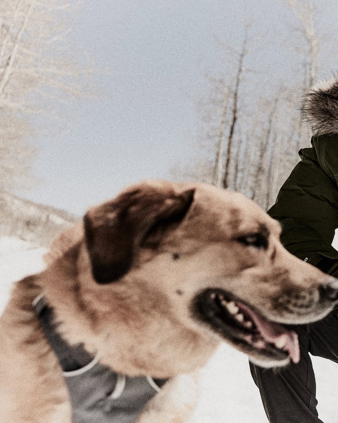 Dick's Sporting Goods |  Oct. 25