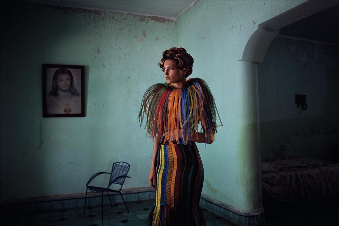 Vincent Van de Wijngaard X Harper's Bazaar US