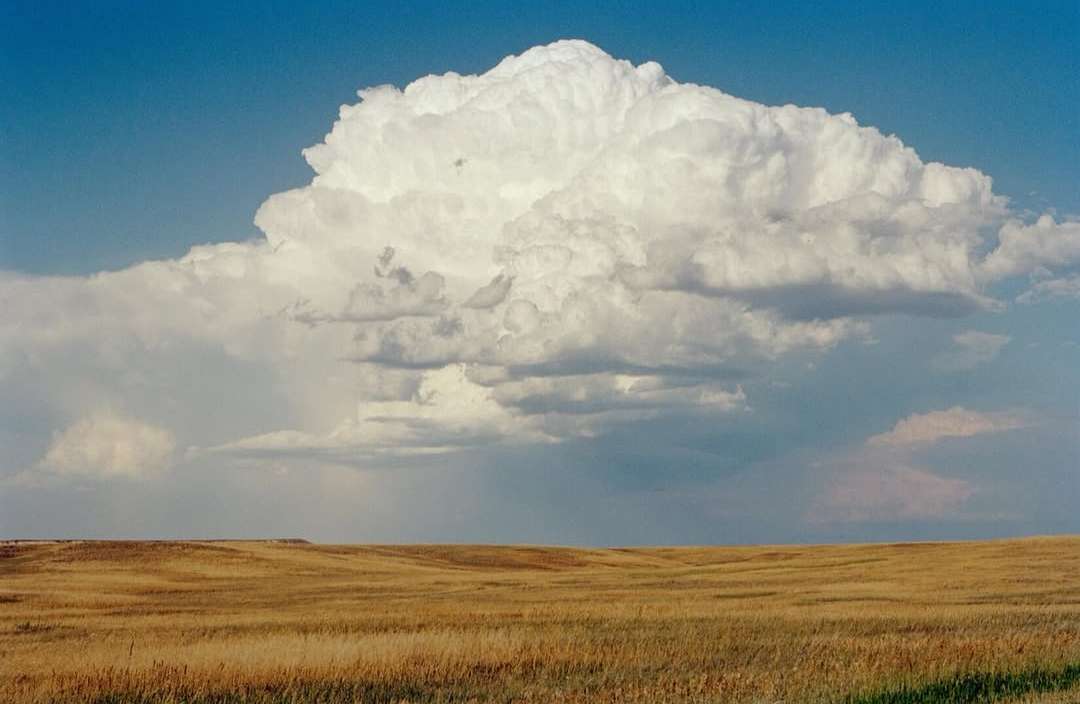 Rahim Fortune X Atmos