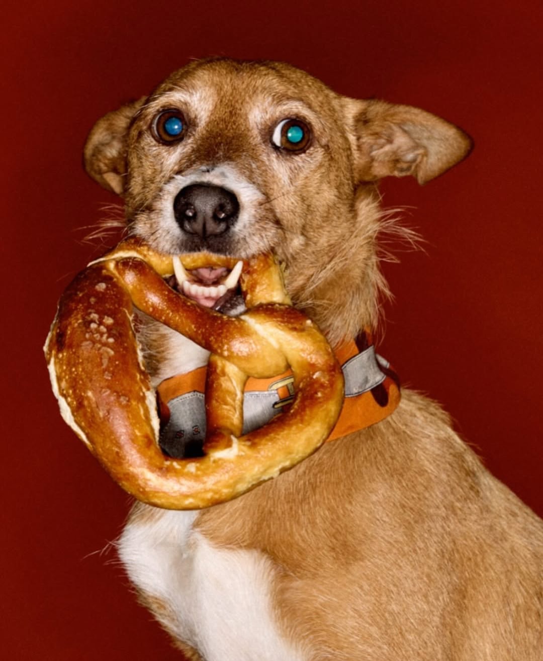 M Le Monde |  Dec. 25