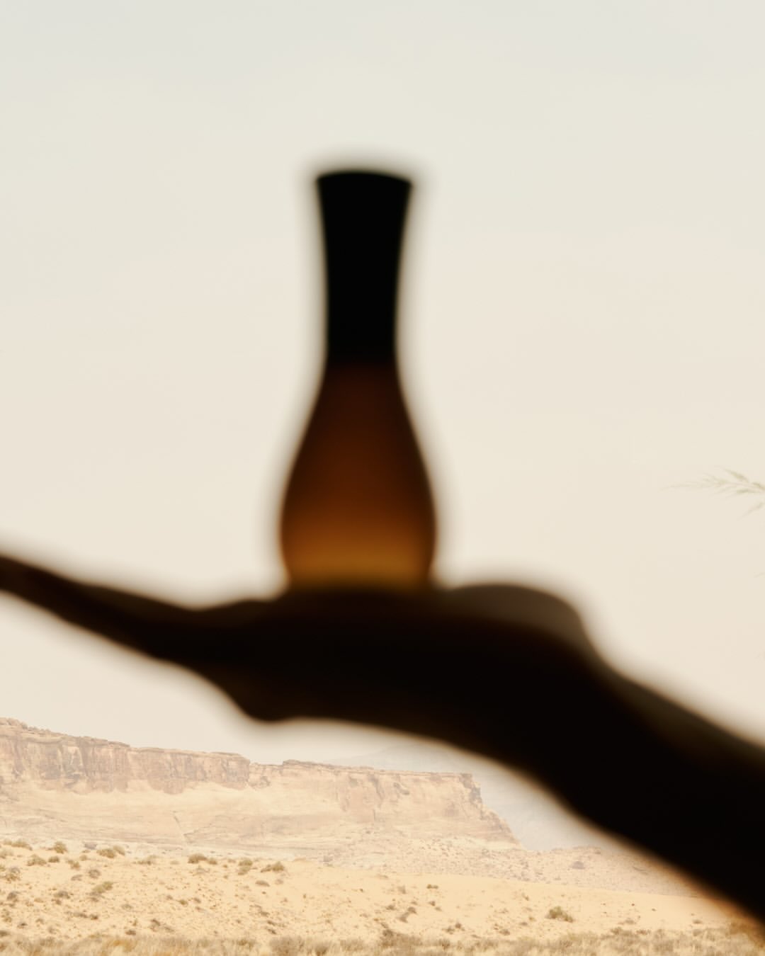 The Official Aman Shop |  Nov. 25