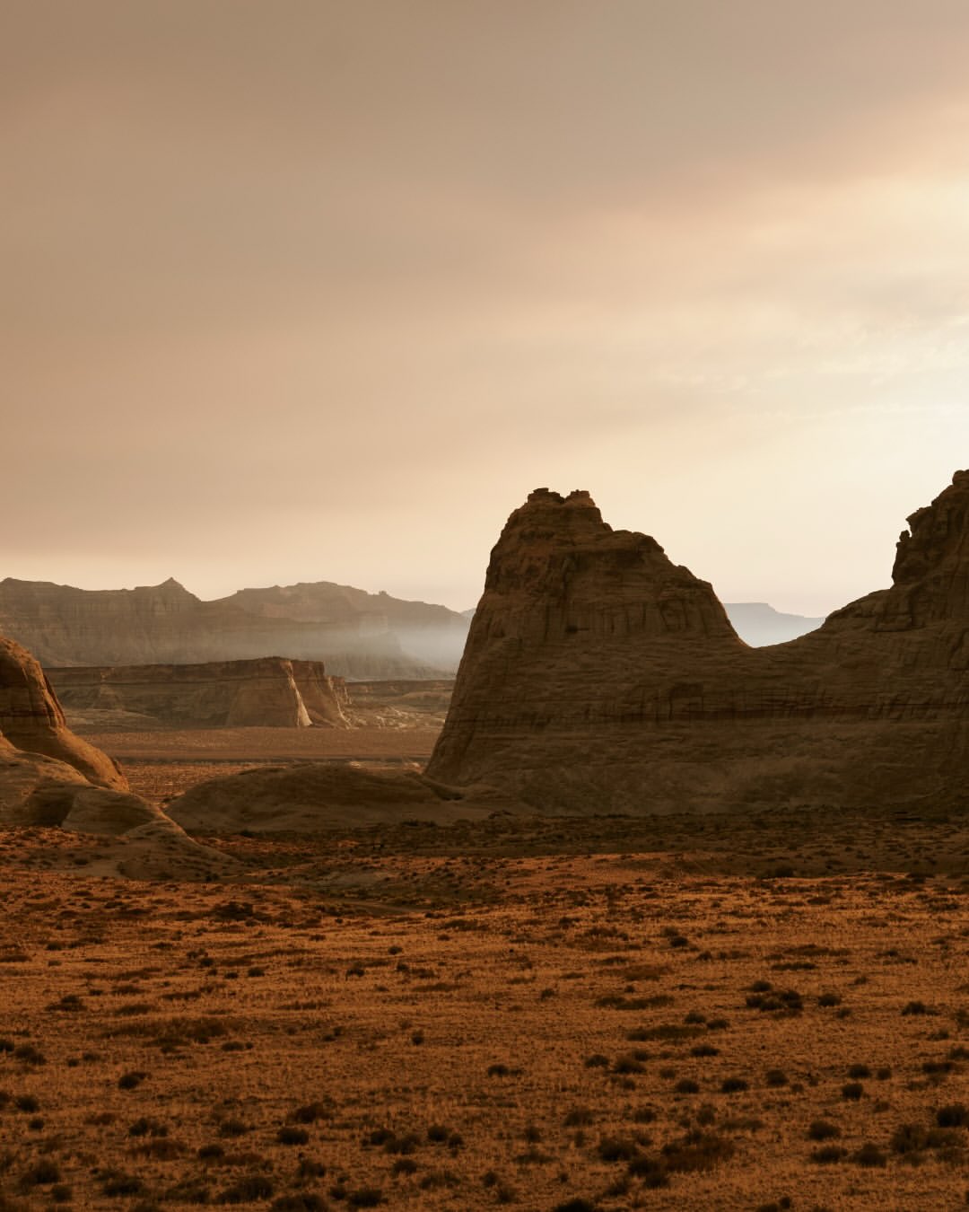 The Official Aman Shop |  Nov. 25