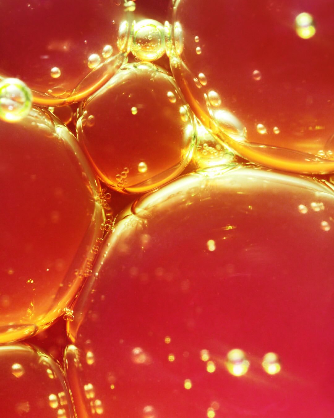 Tonje Thilesen X Wall Street Journal