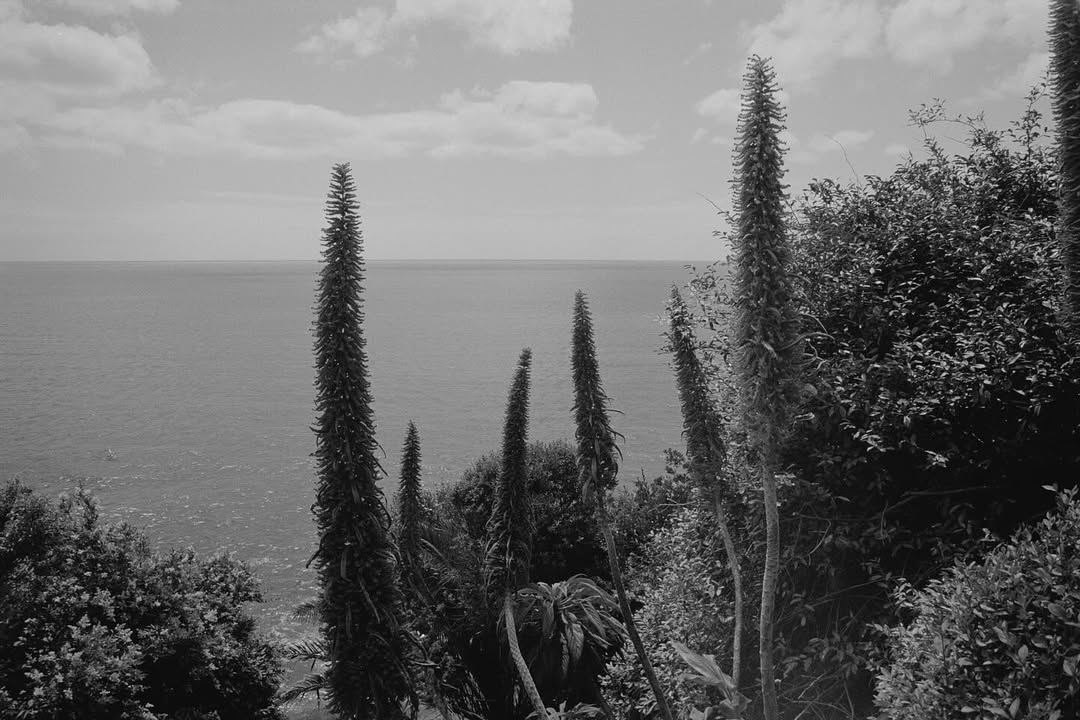 Aude Le Barbey
