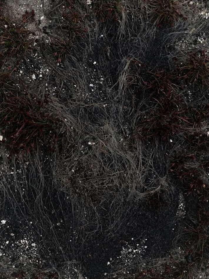 Bérengère Valognes