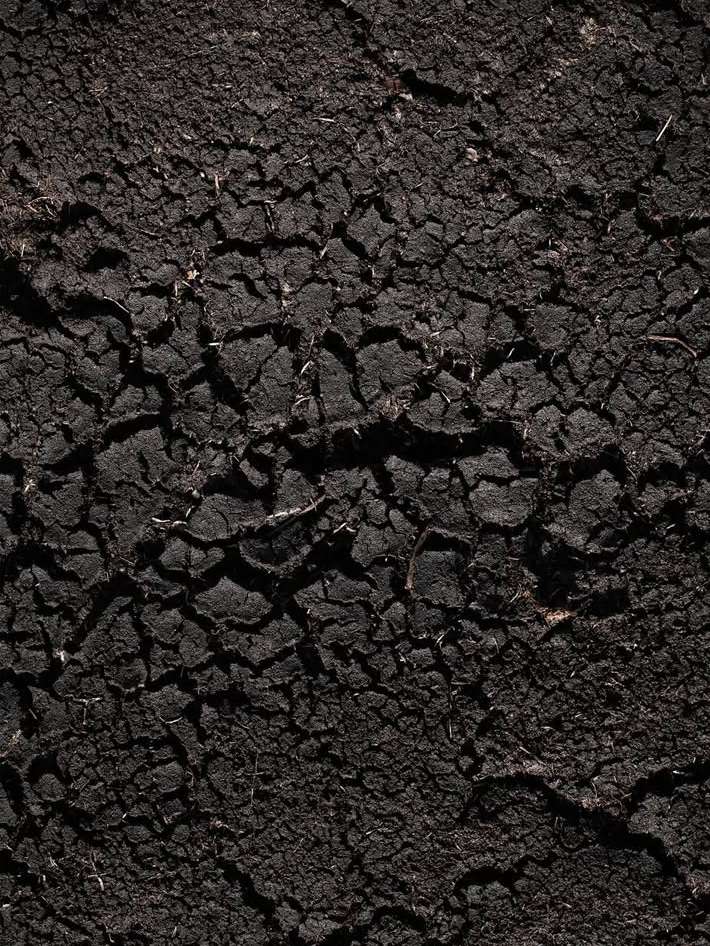 Bérengère Valognes