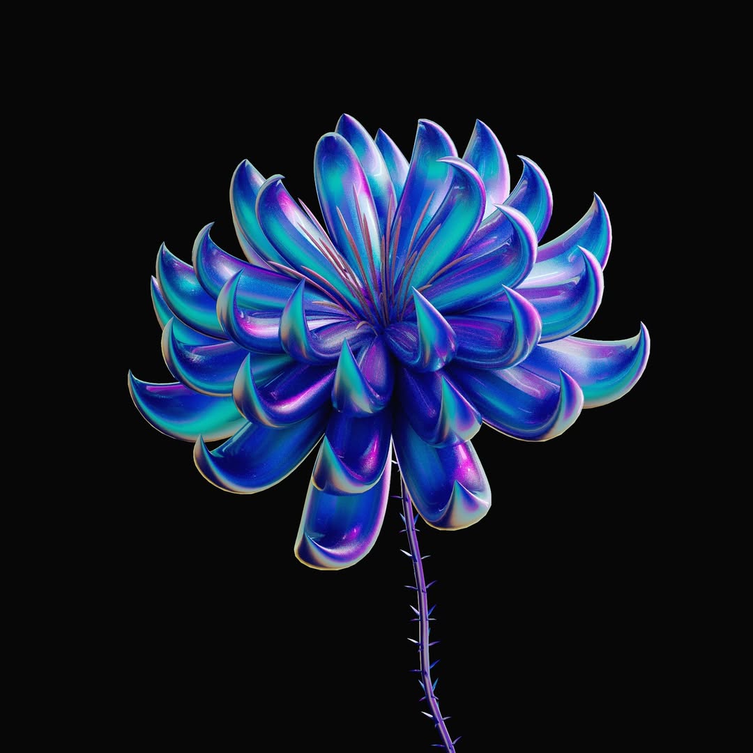 slider image