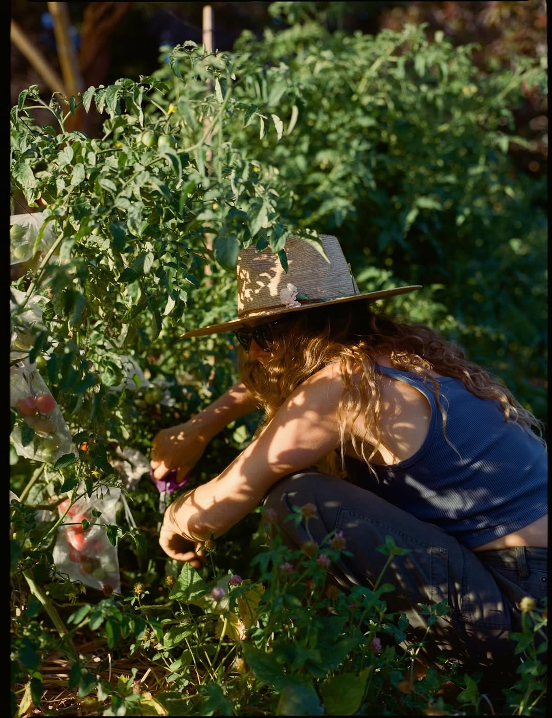 Waiakoa Farm |  Sep. 25