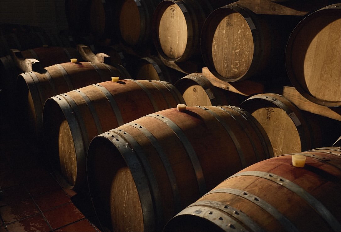 High Constantia Wine Cellar |  Nov. 25