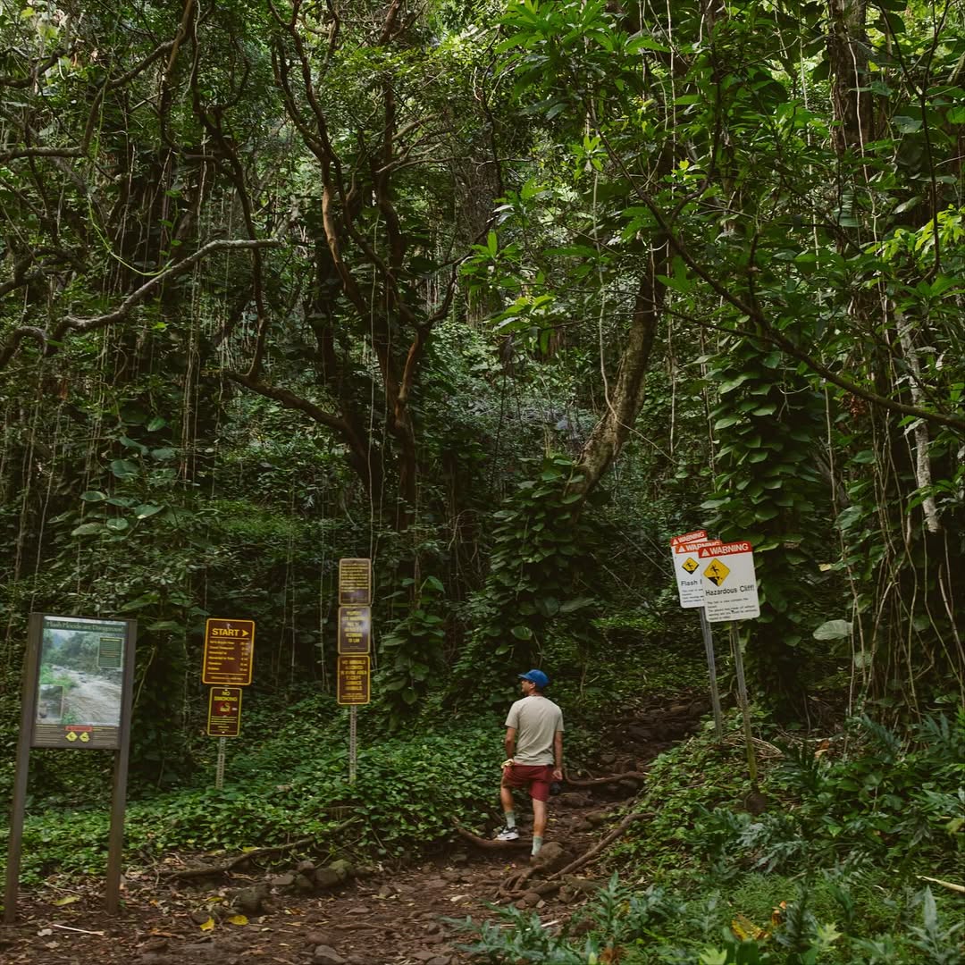 Daeja Fallas X The New York Times