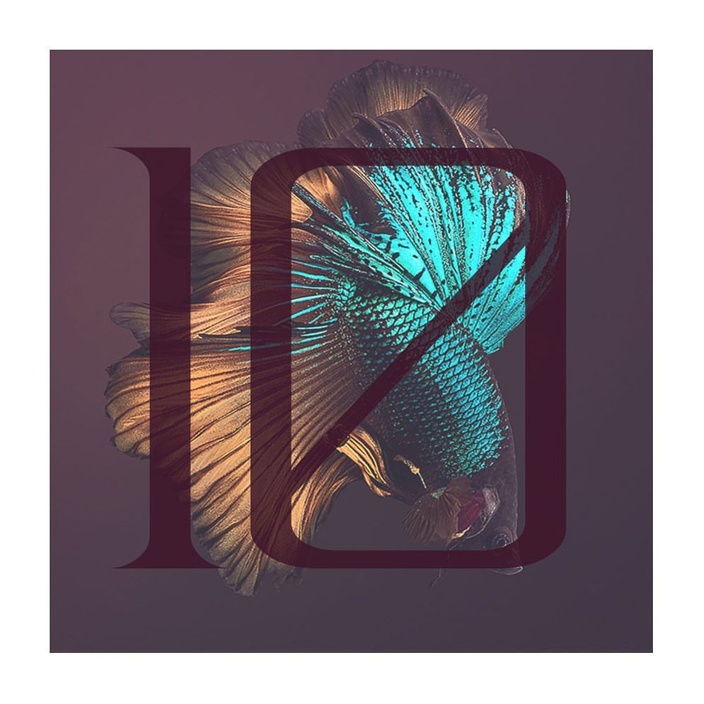 slider image