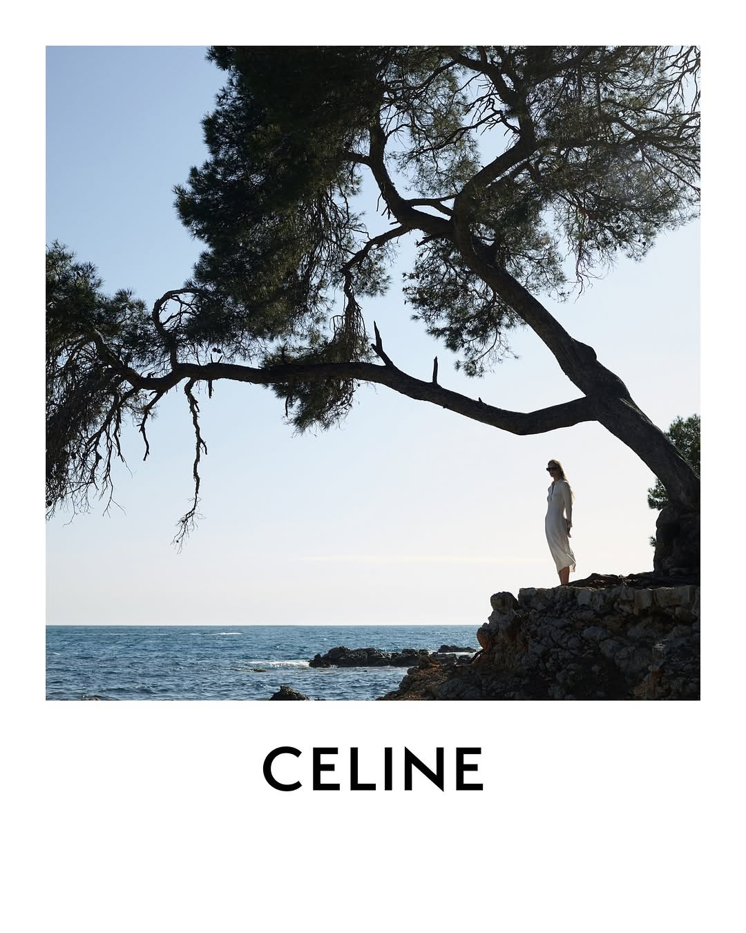 @celine fall 2025⁣