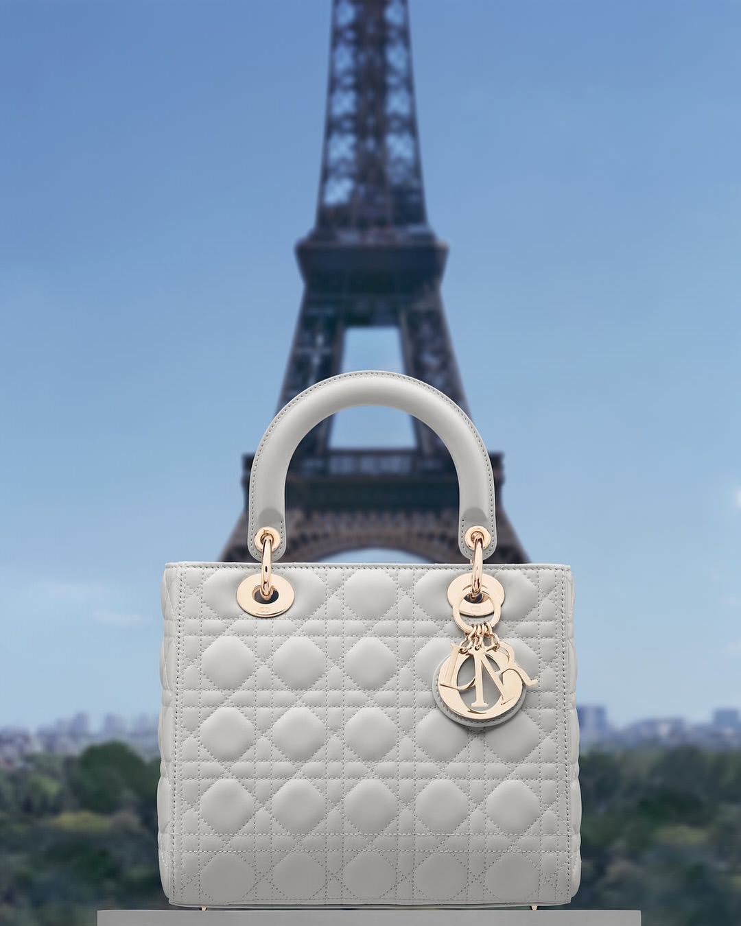 @dior lady dior around the world⁣