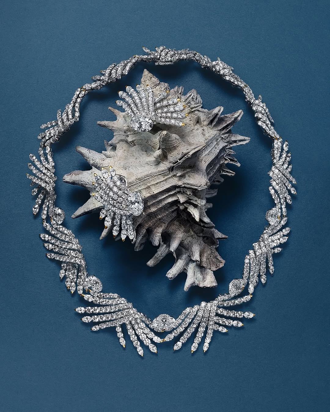 Tiffany & Co. |  Oct. 25