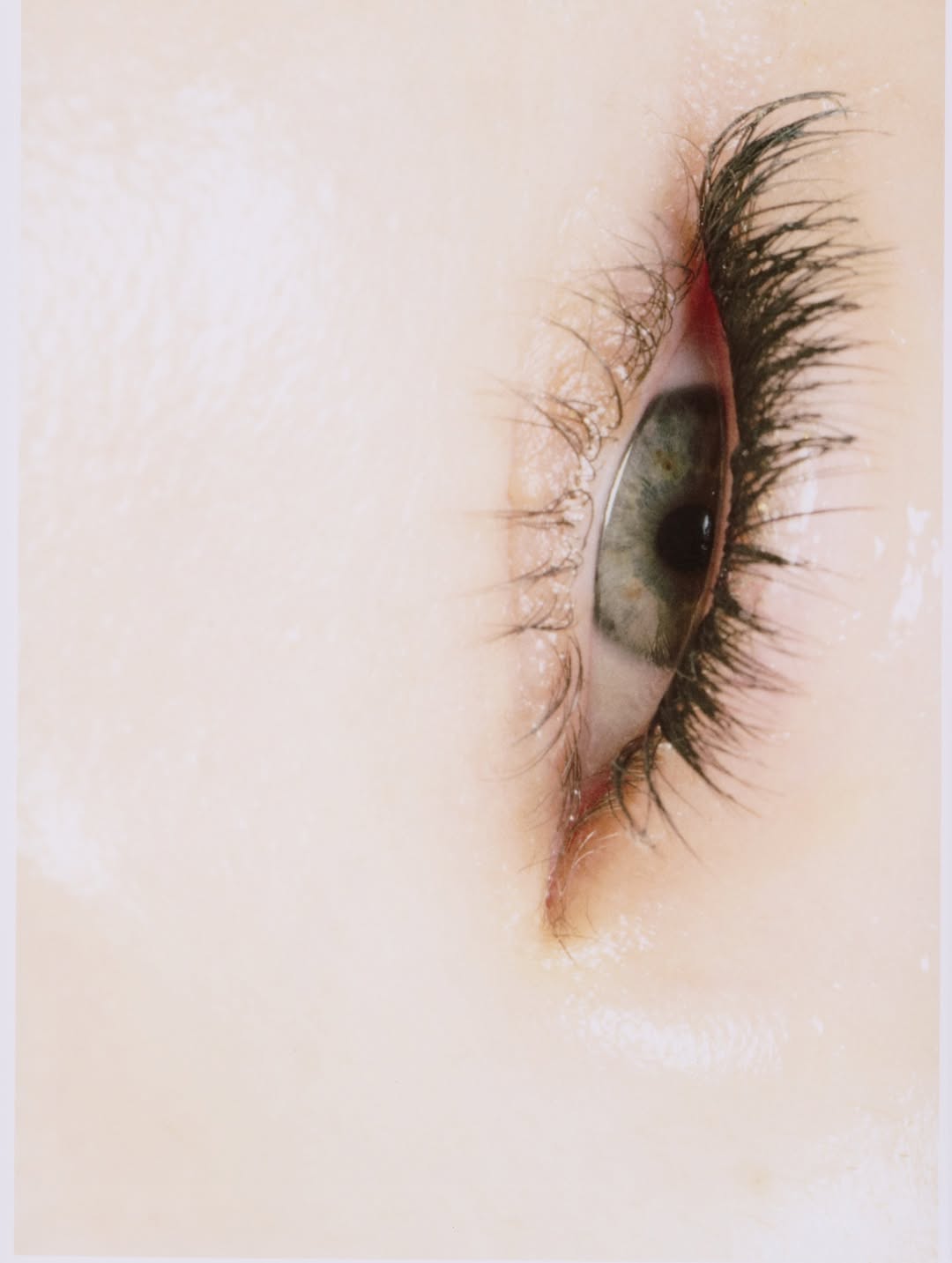 Apartamento Magazine |  Nov. 25