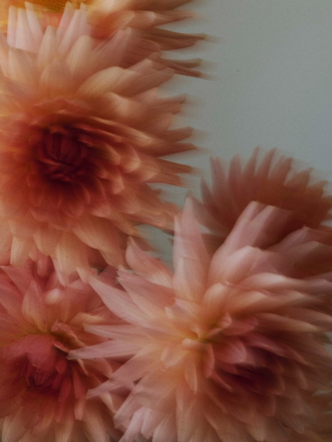 other scenes magazine |  Nov. 25