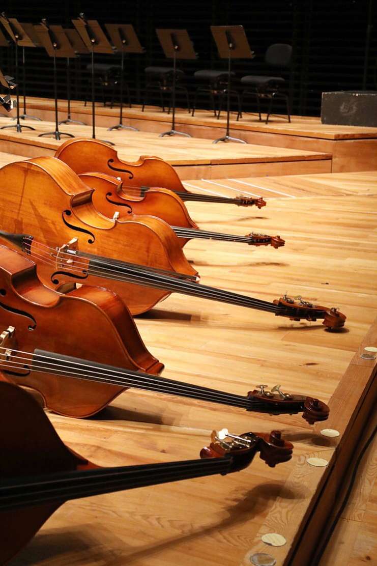 Camille Malissen X Philharmonie de Paris