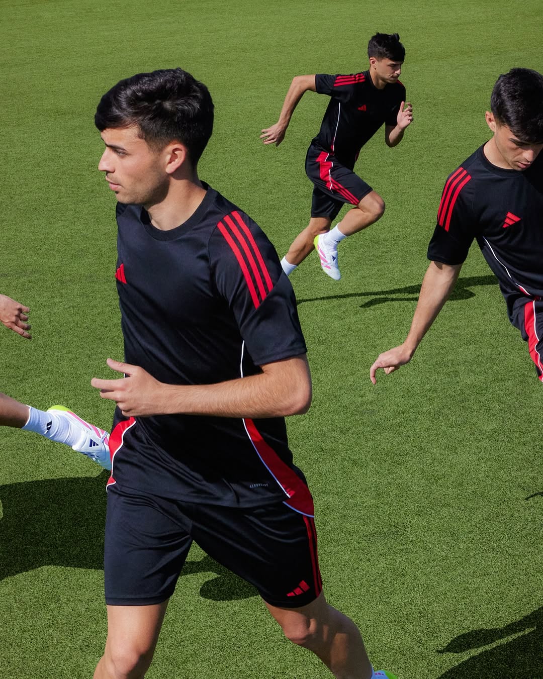Carles  Carabi