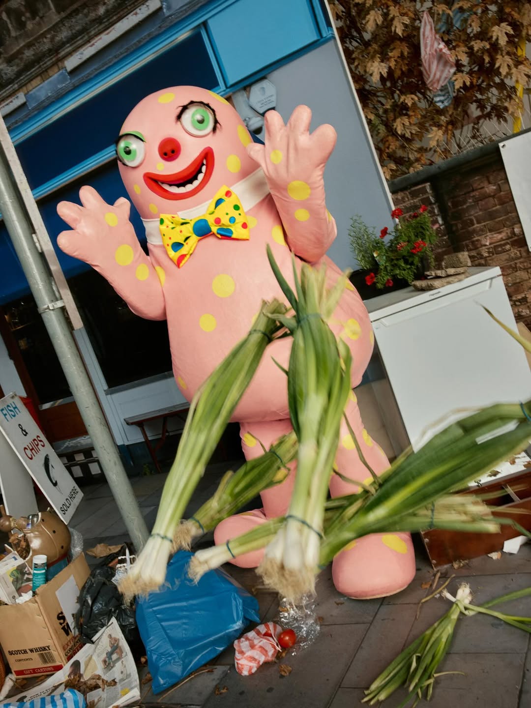 slider image