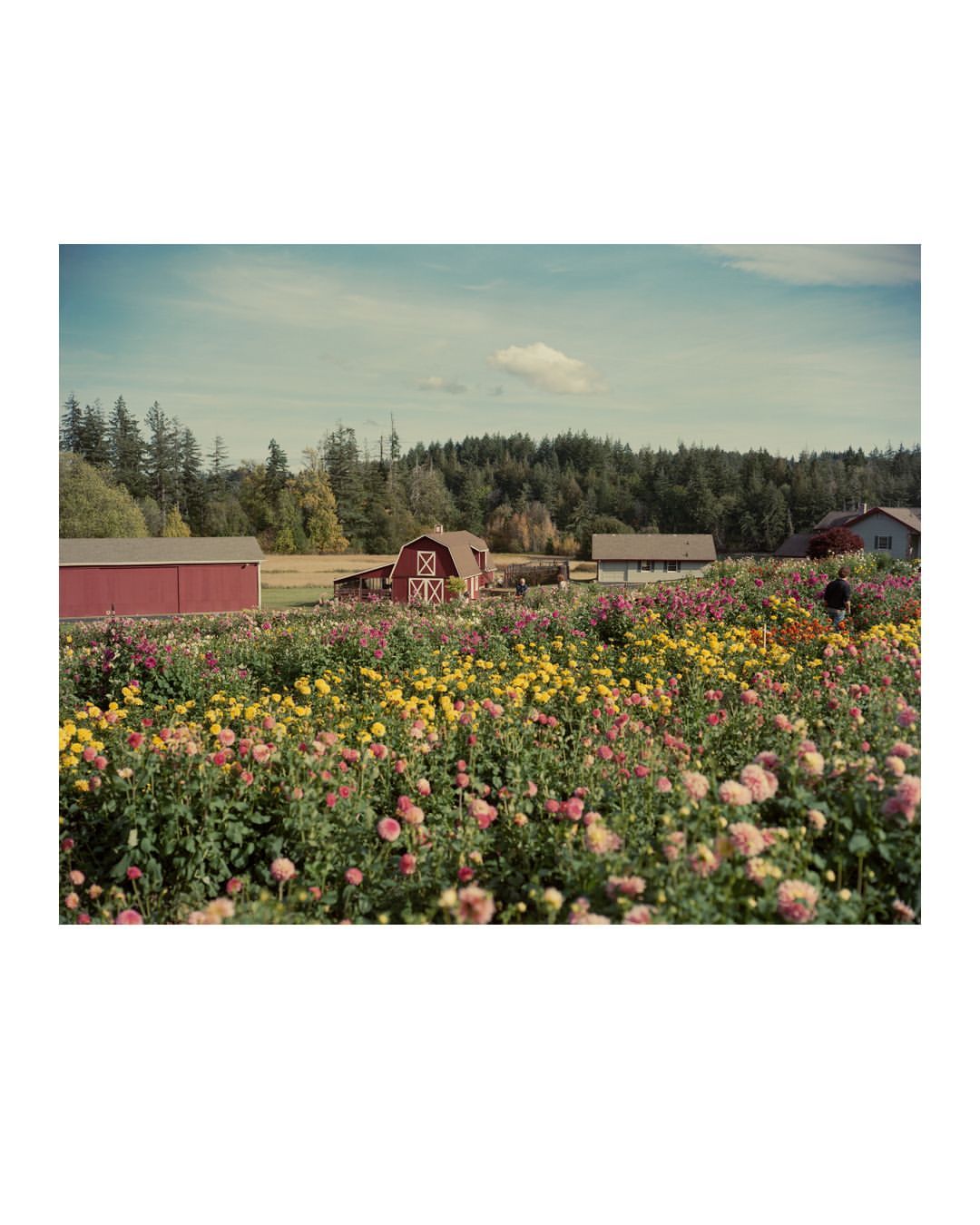 Christopher Churchill