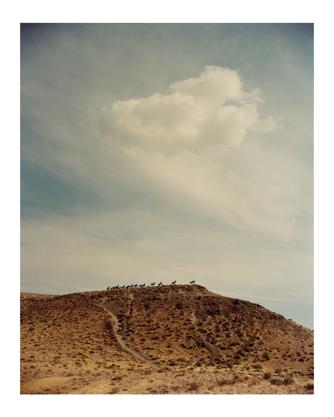 Christopher Churchill