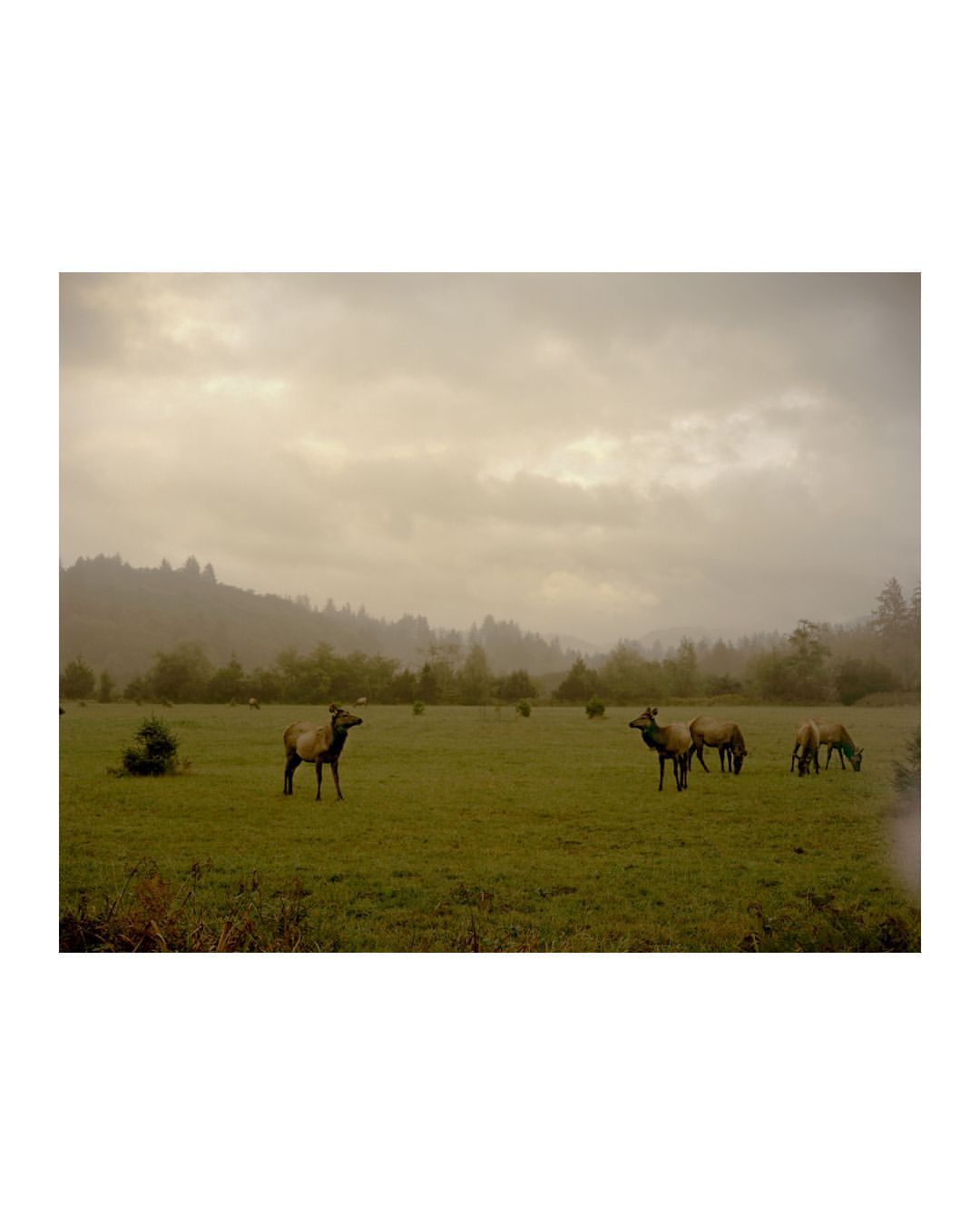 Christopher Churchill