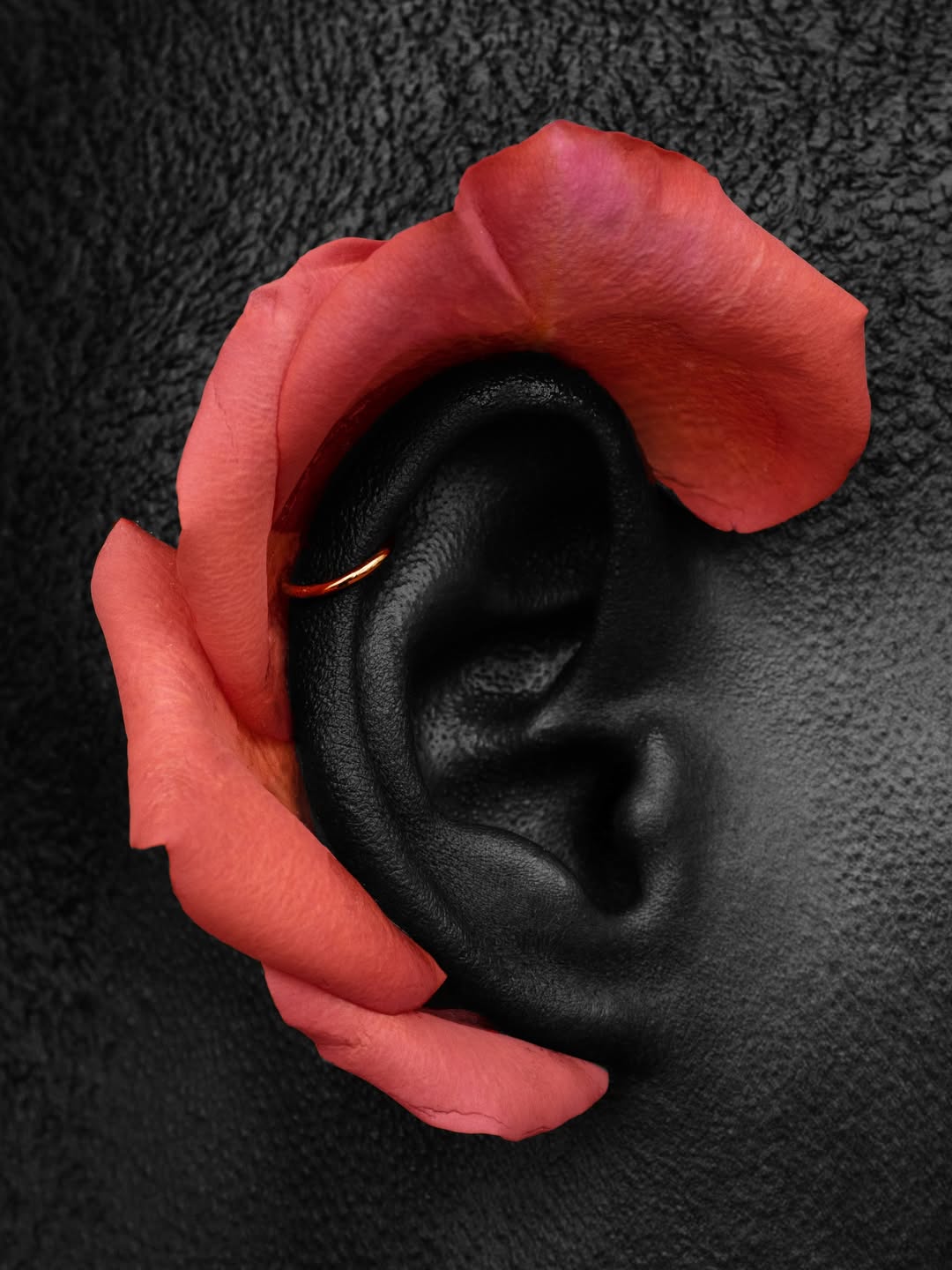 Christine Lutz