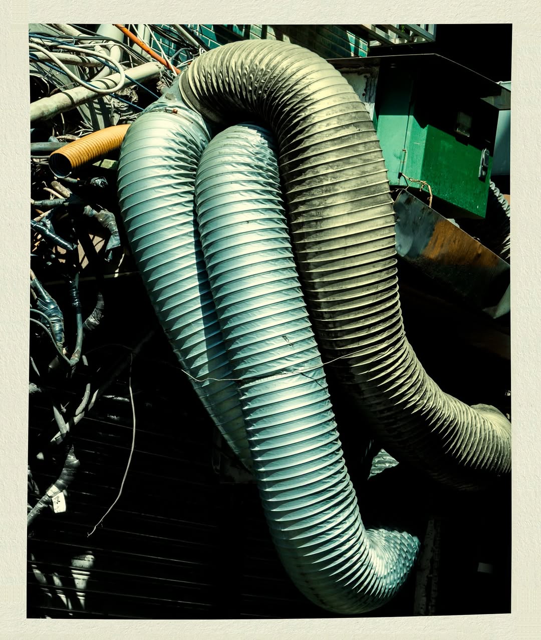 Christopher Anderson