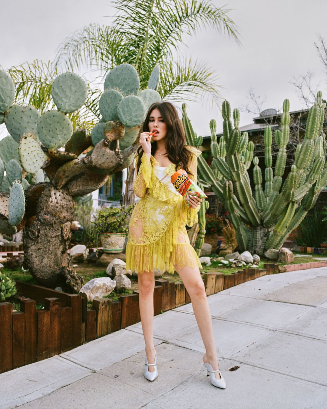 Laura Allard-Fleischl