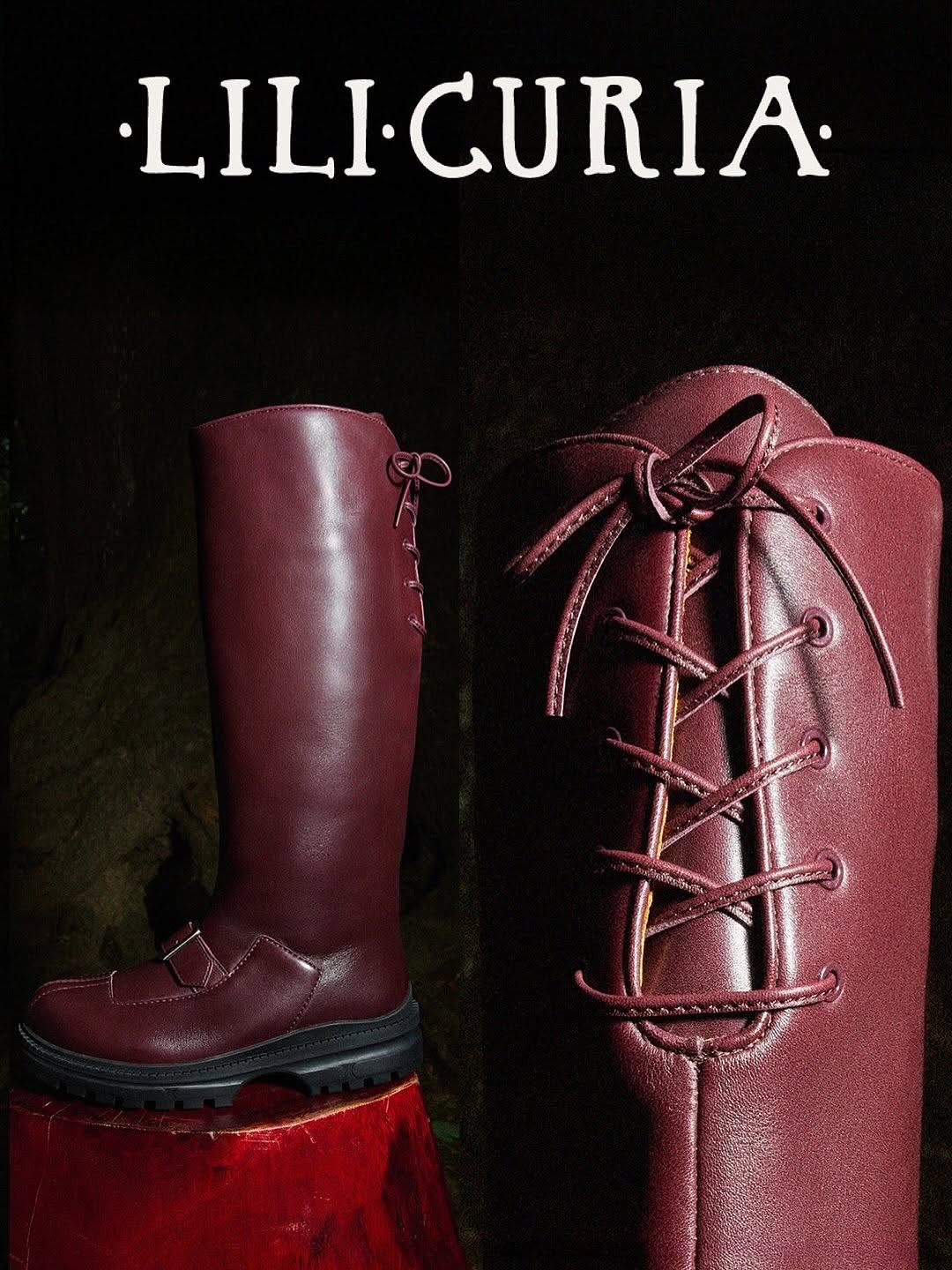 Lili Curia |  Nov. 25