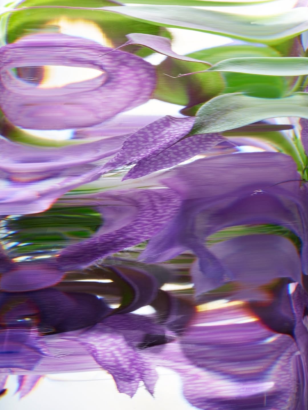  Sep. 25